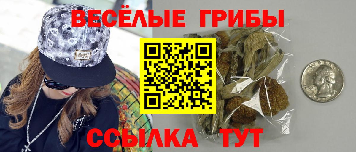 Галлюциногенные грибы ЛСД  Галлюциногенные грибы Psilocybe  Коломна  Вход с VPN 